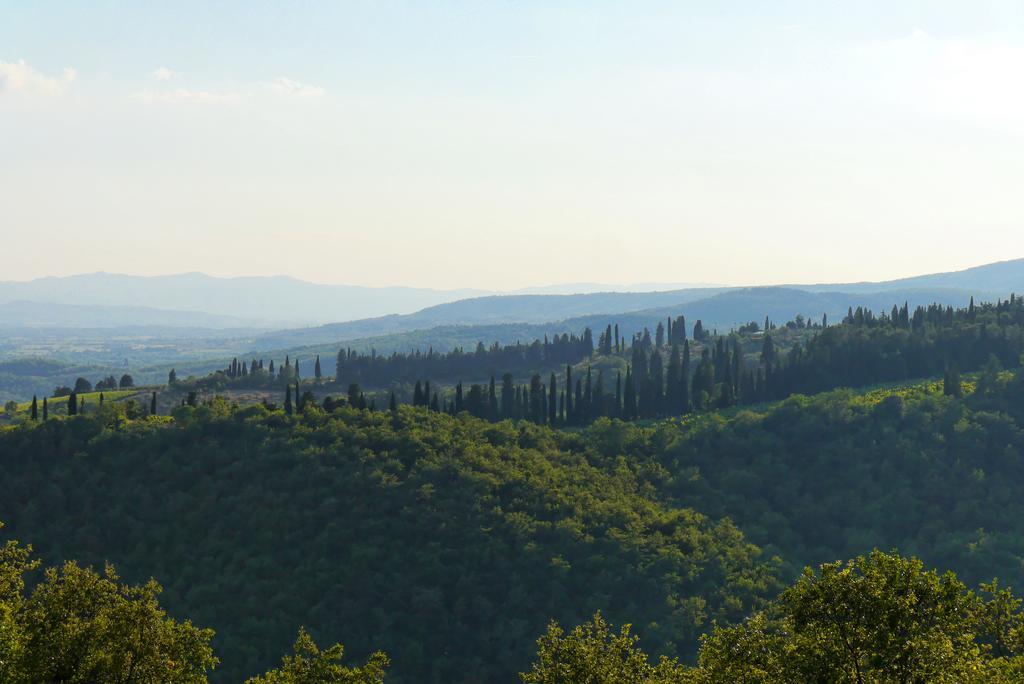 Il Crinale Vila Subbiano Quarto foto